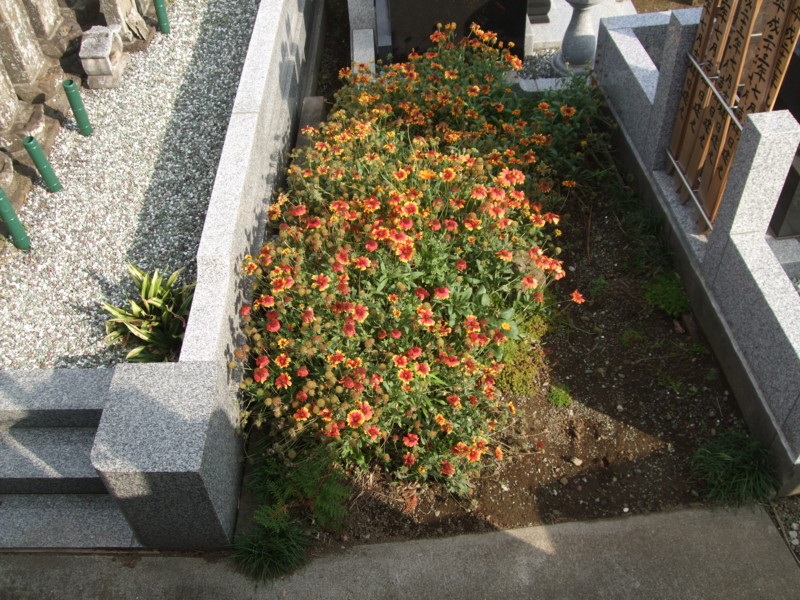 f:id:dohgen:20111107132429j:image:w360 f:id:dohgen:20111107132429j:image:w360
