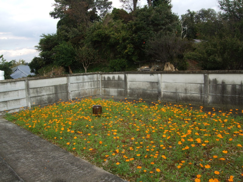 f:id:dohgen:20111107132853j:image:w360 f:id:dohgen:20111107132853j:image:w360