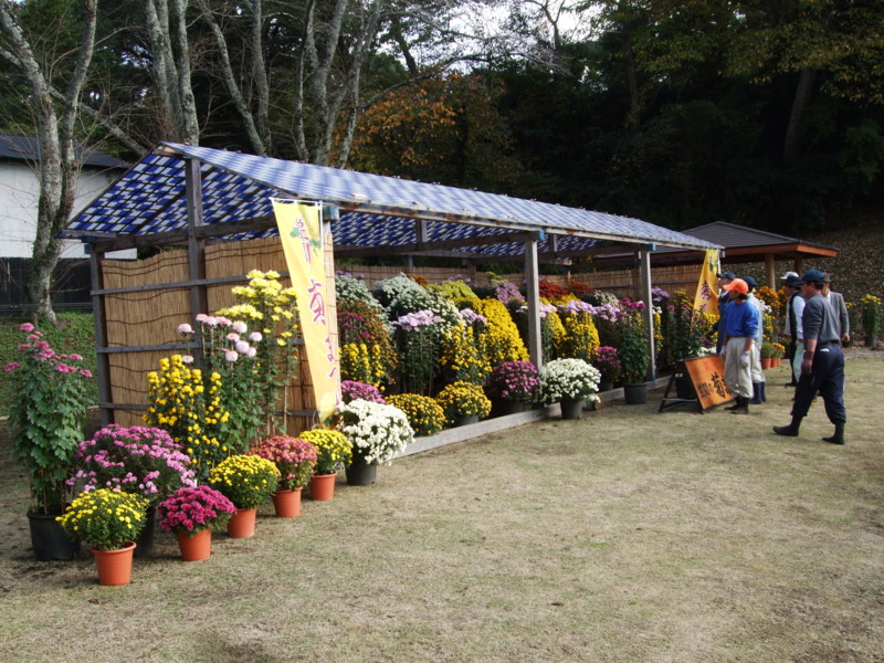 f:id:dohgen:20111110133347j:image:w360 f:id:dohgen:20111110133347j:image:w360