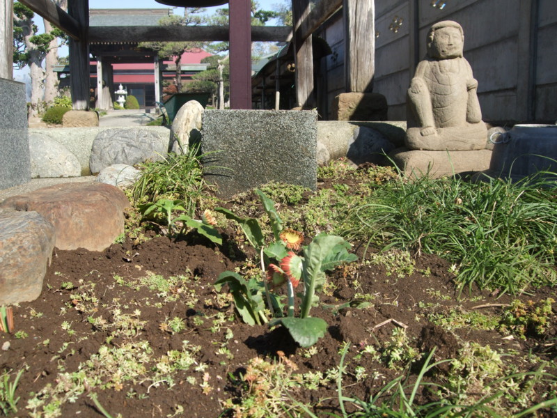 f:id:dohgen:20111117102032j:image:w360