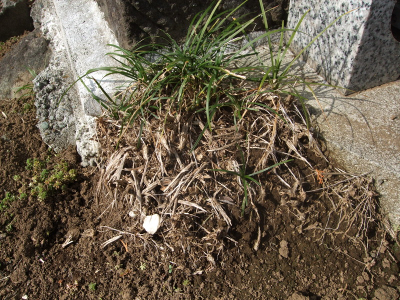 f:id:dohgen:20111121112235j:image:w360