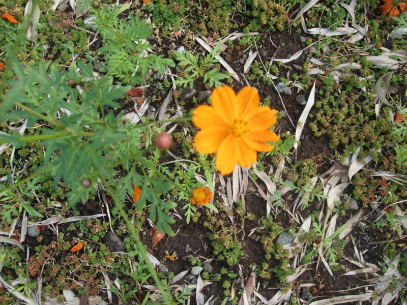 f:id:dohgen:20111121113459j:image:w360