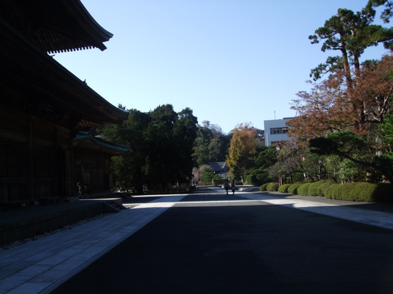 f:id:dohgen:20111124095409j:image:w360