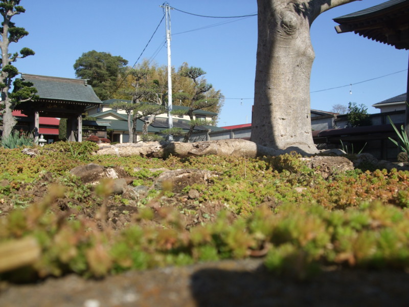 f:id:dohgen:20111125123221j:image:w360 f:id:dohgen:20111125123221j:image:w360