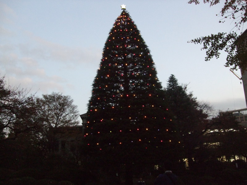 f:id:dohgen:20111126162653j:image:w360
