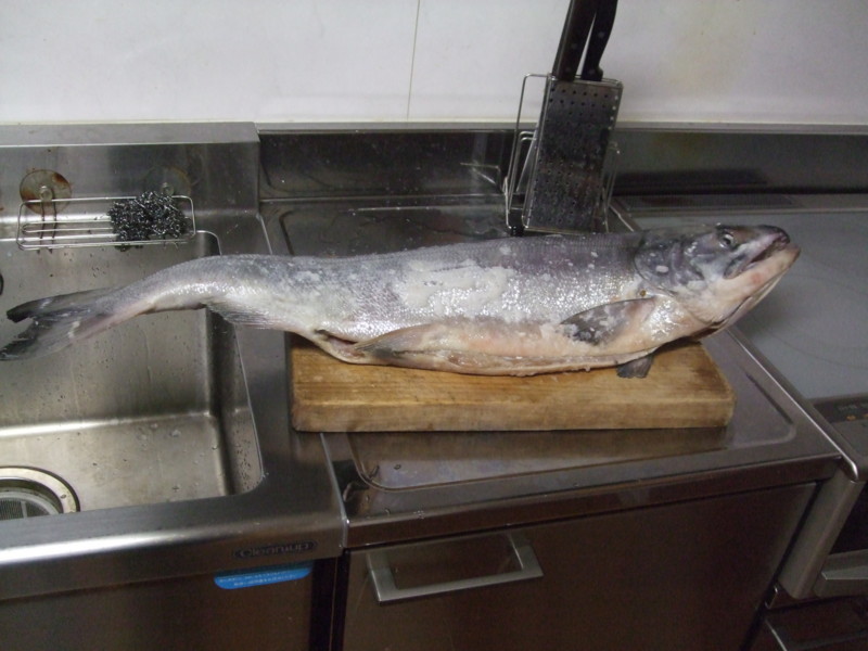 f:id:dohgen:20111202193137j:image:w360