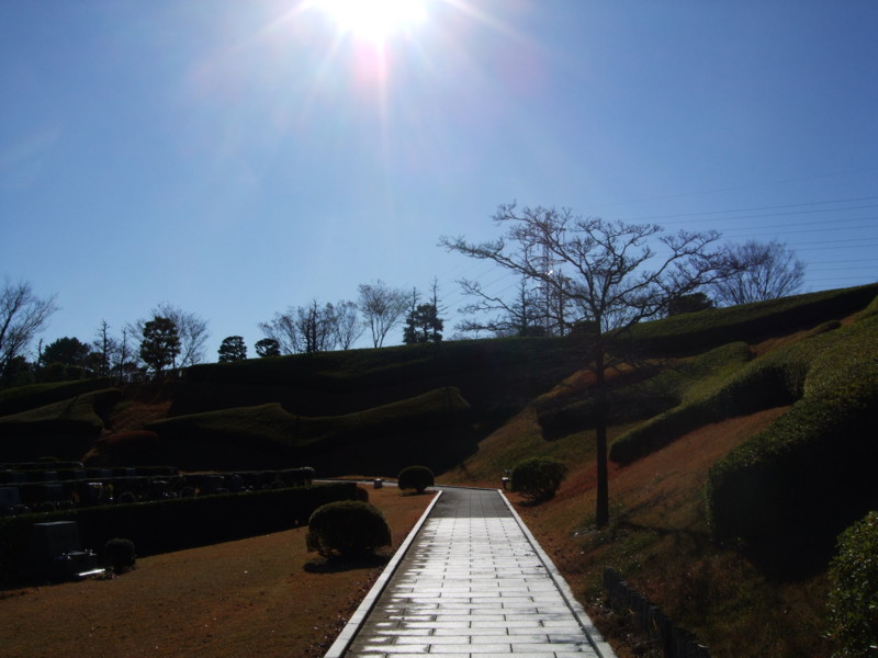 f:id:dohgen:20111204101137j:image:w360