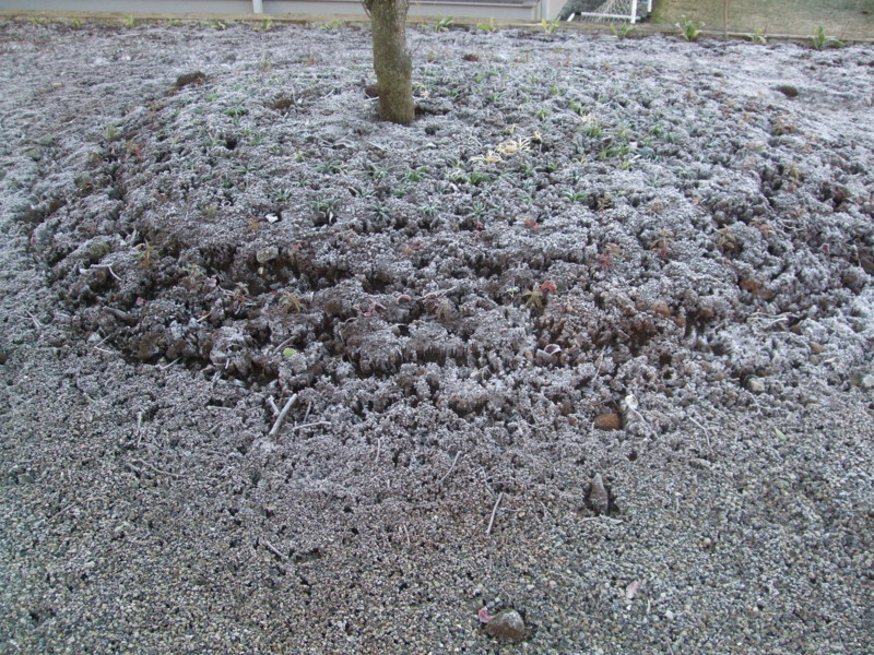 f:id:dohgen:20111210081815j:image:w360