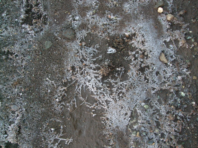 f:id:dohgen:20111210082004j:image:w360