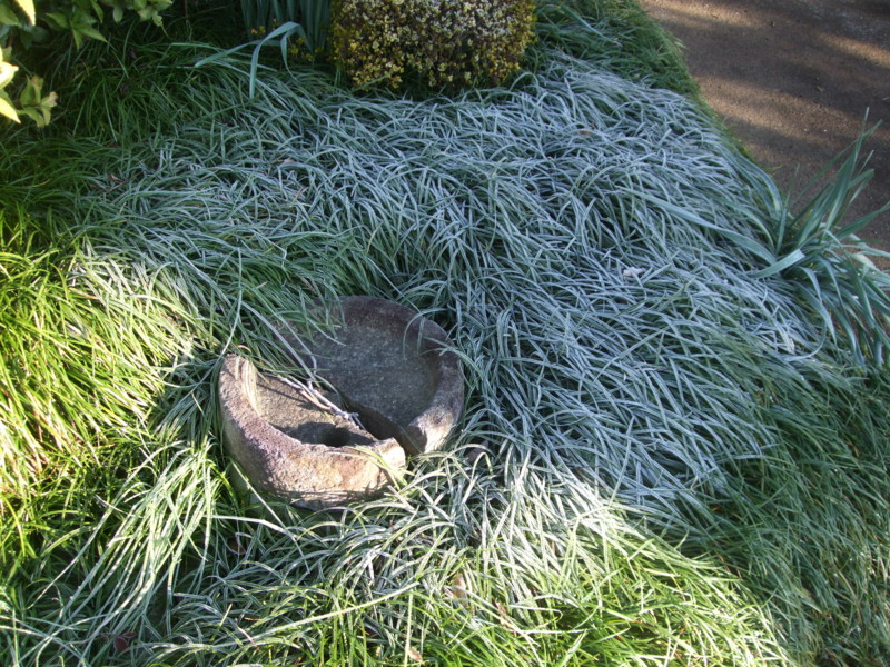 f:id:dohgen:20111210082231j:image:w360