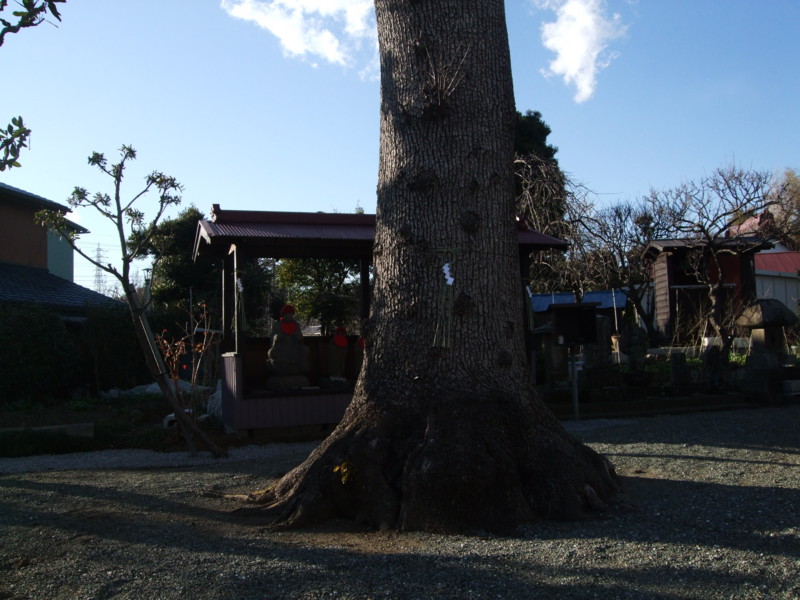 f:id:dohgen:20111226144537j:image:w360