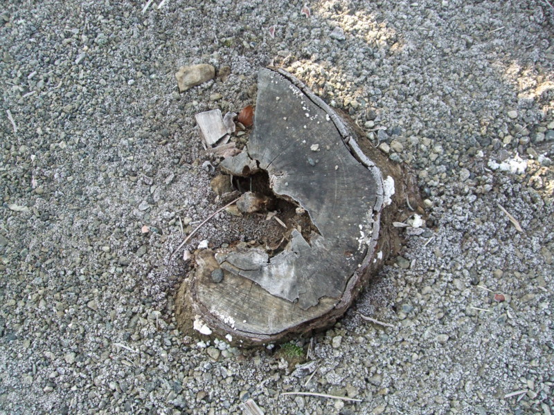 f:id:dohgen:20111230083237j:image:w360