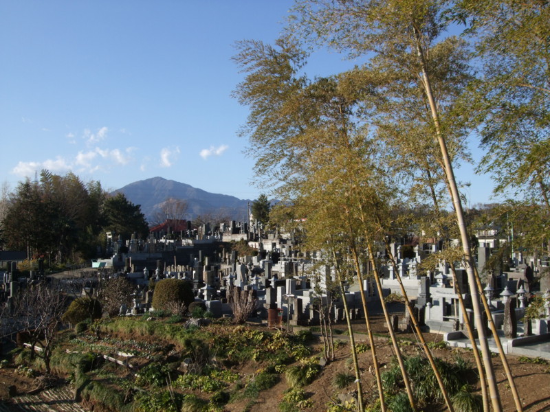 f:id:dohgen:20111230142942j:image:w360