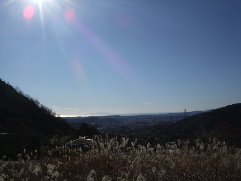 f:id:dohgen:20120105095615j:image:w360