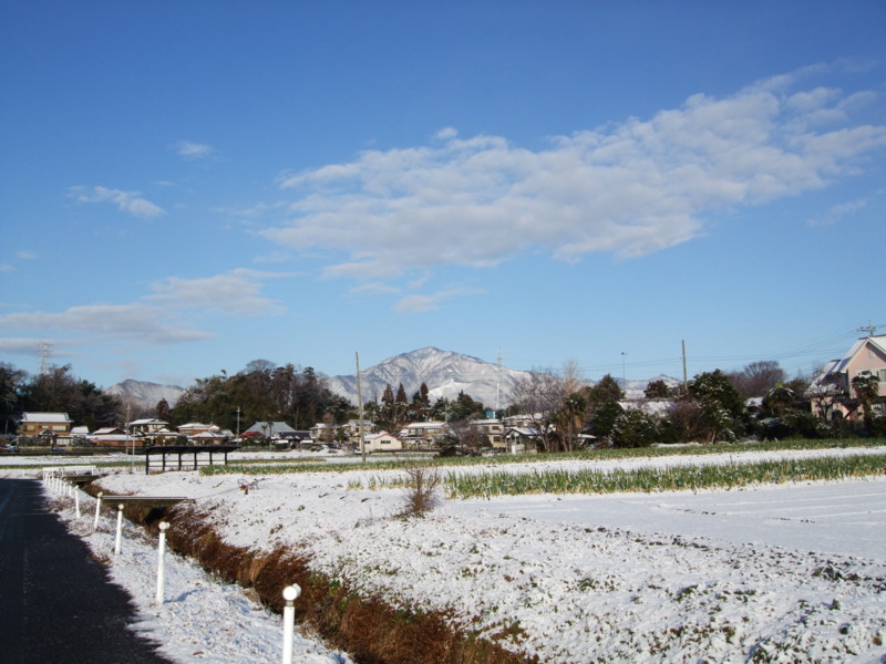f:id:dohgen:20120124080612j:image:w360