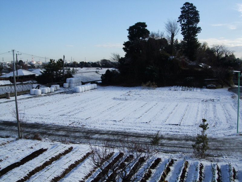 f:id:dohgen:20120124085741j:image:w360