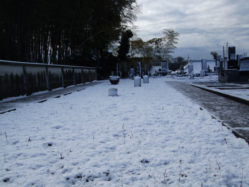 f:id:dohgen:20120124090133j:image:w360