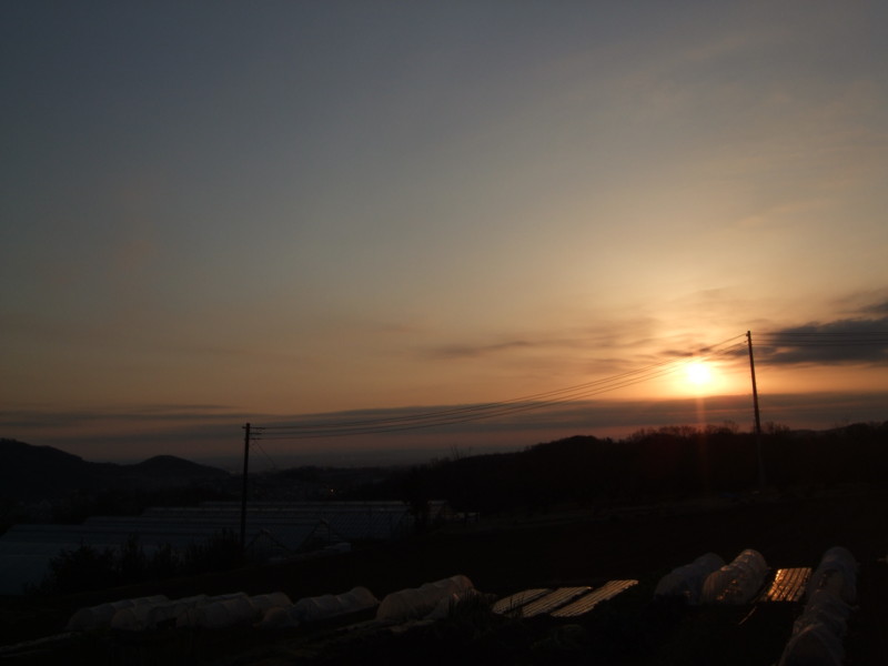 f:id:dohgen:20120205065157j:image:w360