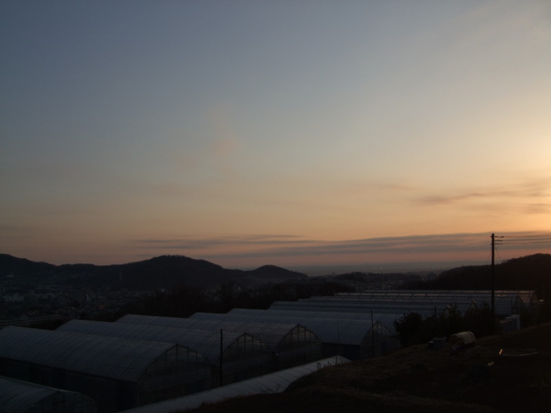 f:id:dohgen:20120205065230j:image:w360