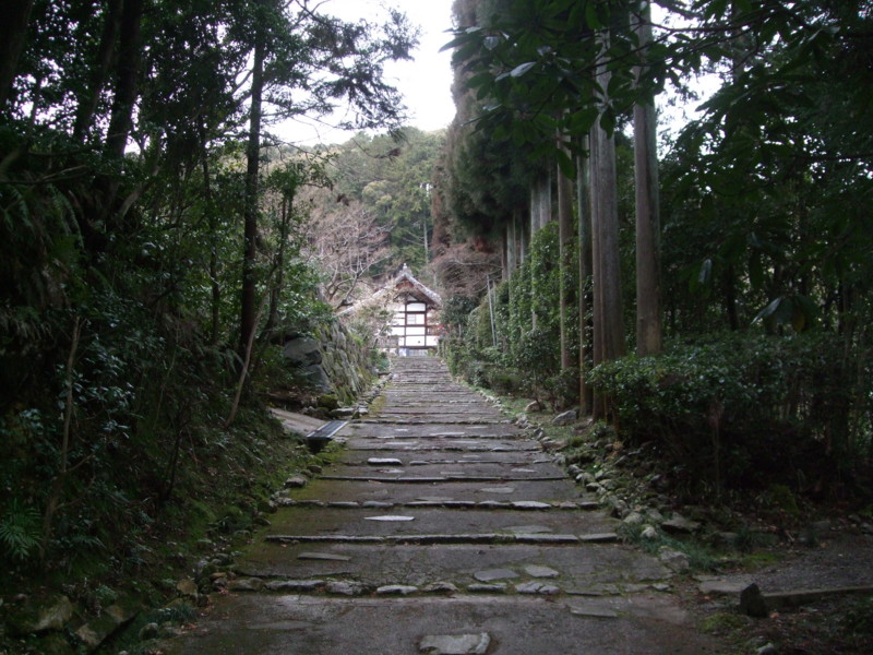 f:id:dohgen:20120216090618j:image:w360