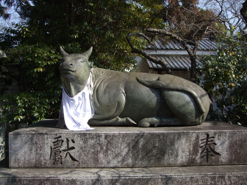f:id:dohgen:20120216130150j:image:w360