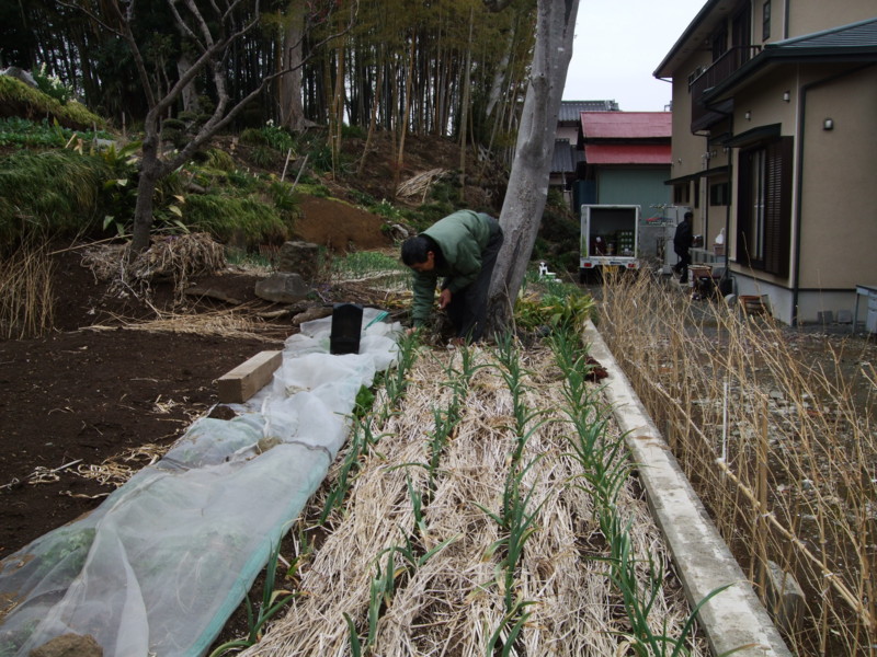 f:id:dohgen:20120304101543j:image:w360