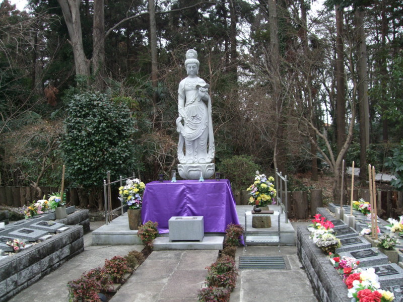 f:id:dohgen:20120304134309j:image:w360
