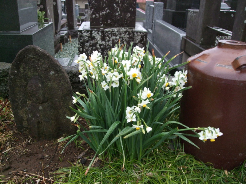f:id:dohgen:20120318143513j:image:w360