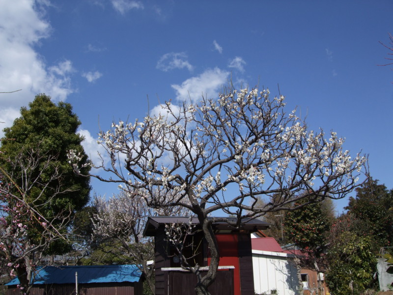 f:id:dohgen:20120321093929j:image:w360