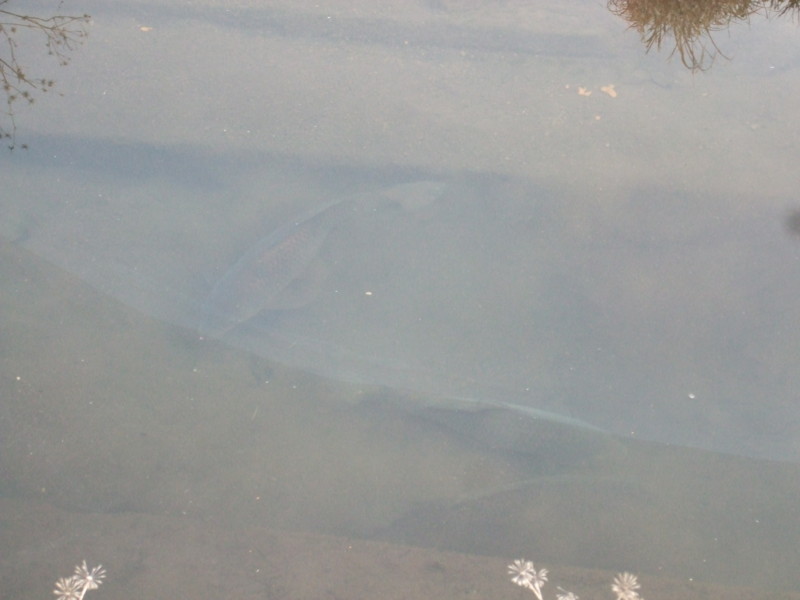 f:id:dohgen:20120322071254j:image:w360
