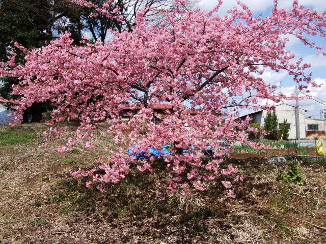 f:id:dohgen:20120325105500j:image:w360 f:id:dohgen:20120325105500j:image:w360