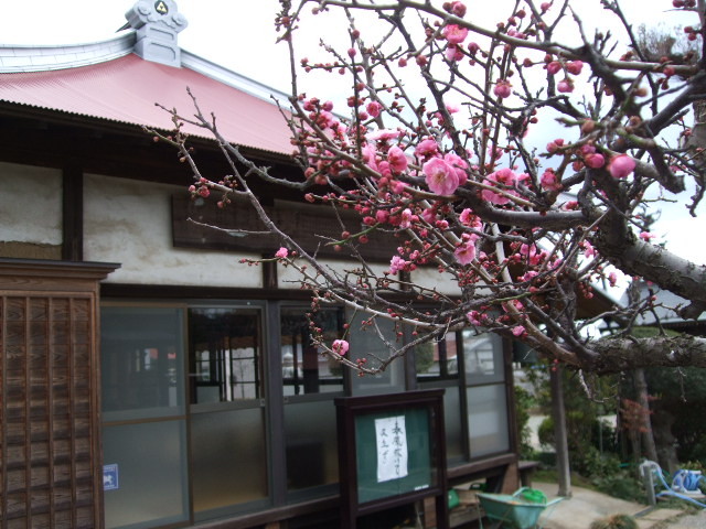 f:id:dohgen:20120325121252j:image:w360 f:id:dohgen:20120325121252j:image:w360