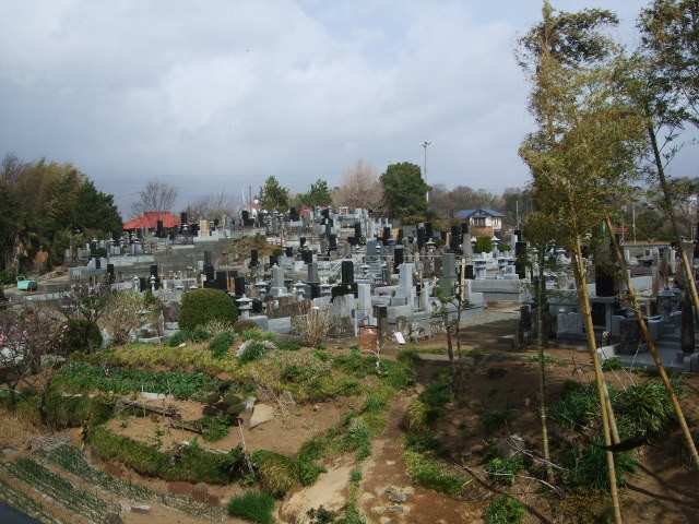 f:id:dohgen:20120331092255j:image:w360
