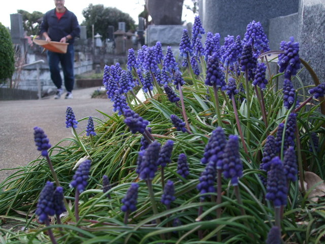 f:id:dohgen:20120401134340j:image:w360