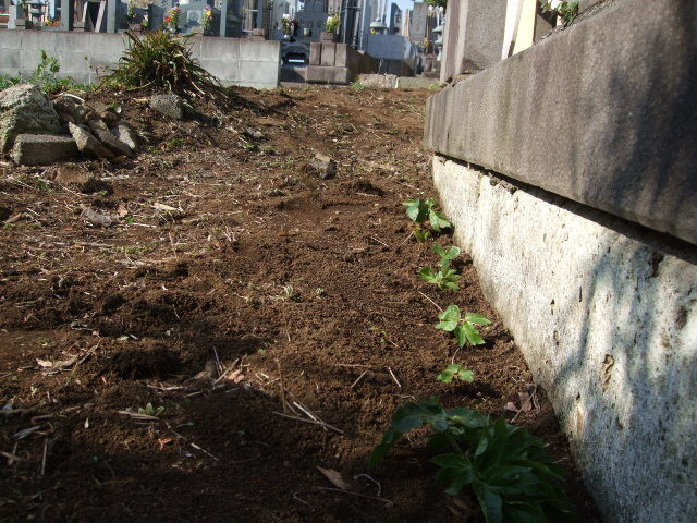 f:id:dohgen:20120401152026j:image:w360
