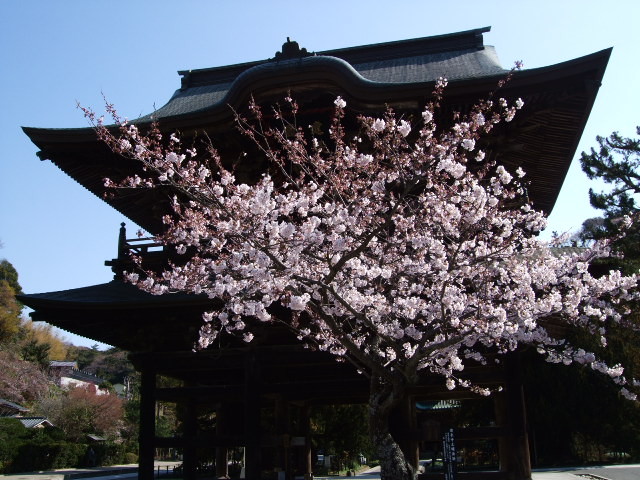 f:id:dohgen:20120408082118j:image:w360