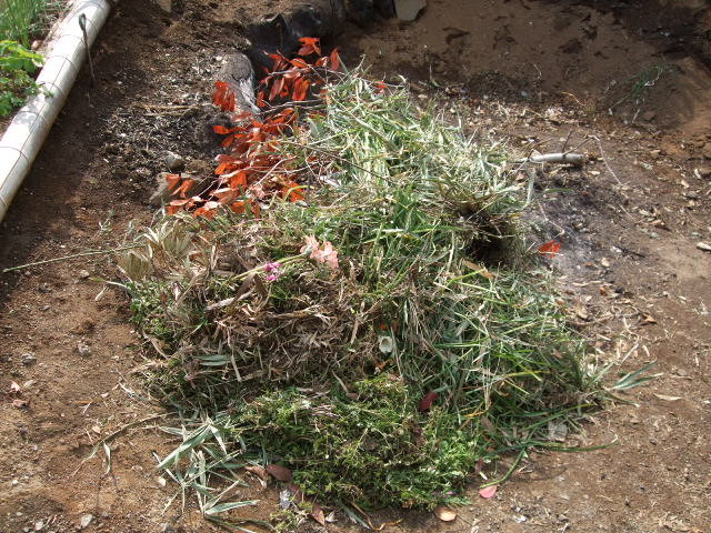 f:id:dohgen:20120418143439j:image:w360