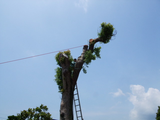 f:id:dohgen:20120630104923j:image:w360
