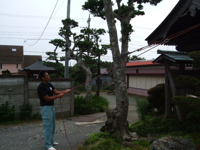 f:id:dohgen:20120630134608j:image:w360