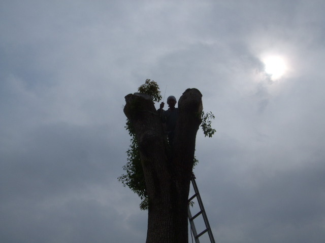f:id:dohgen:20120630143345j:image:w360