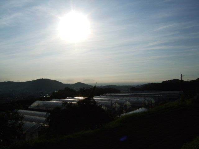 f:id:dohgen:20120803060328j:image:w360