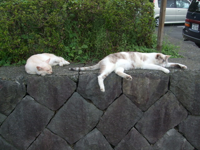 f:id:dohgen:20120815163252j:image:w360