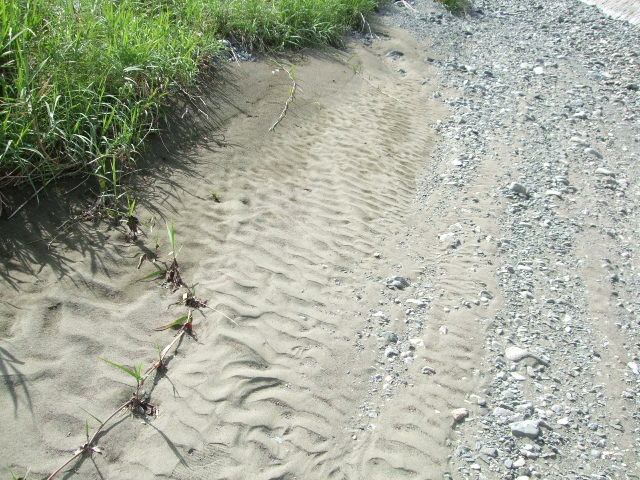f:id:dohgen:20120816144204j:image:w360