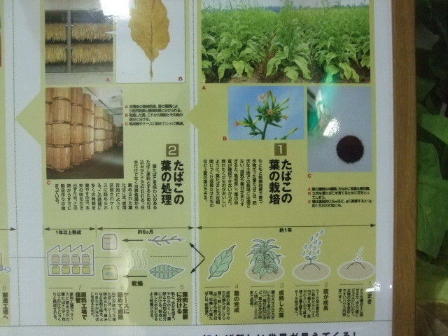 f:id:dohgen:20120918195028j:image:w360