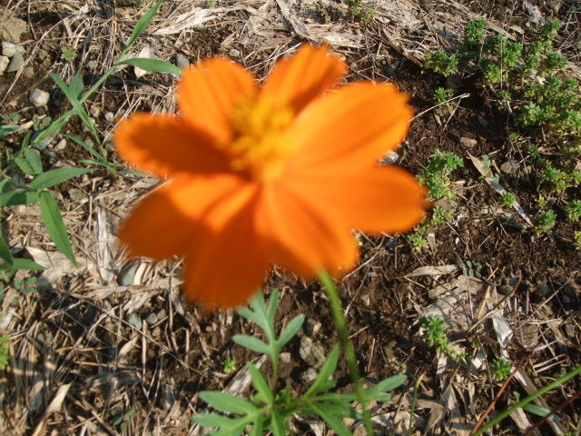 f:id:dohgen:20120920141405j:image:w360