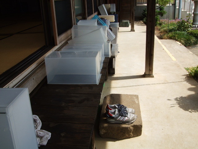 f:id:dohgen:20121012104849j:image:w360
