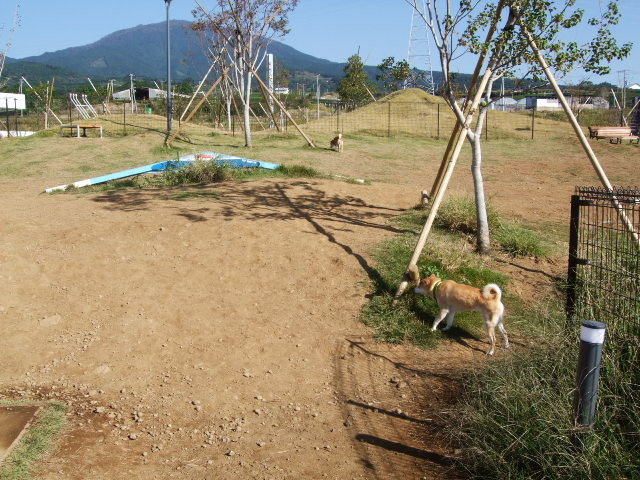 f:id:dohgen:20121015084934j:image:w360