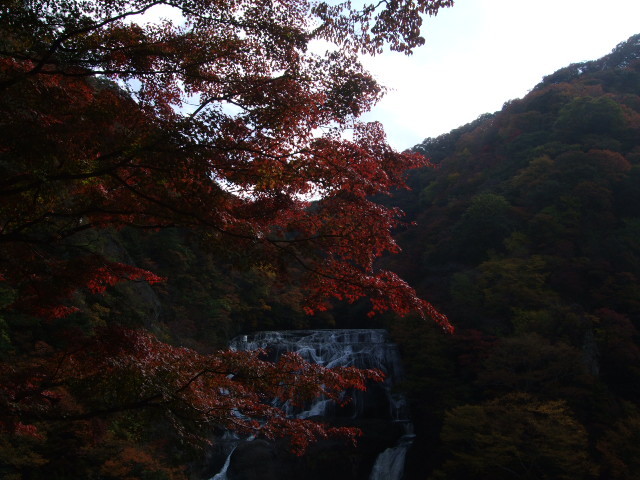 f:id:dohgen:20121107105932j:image:w360 f:id:dohgen:20121107105932j:image:w360