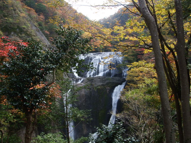 f:id:dohgen:20121107110244j:image:w360 f:id:dohgen:20121107110244j:image:w360