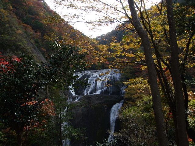f:id:dohgen:20121107110252j:image:w360 f:id:dohgen:20121107110252j:image:w360